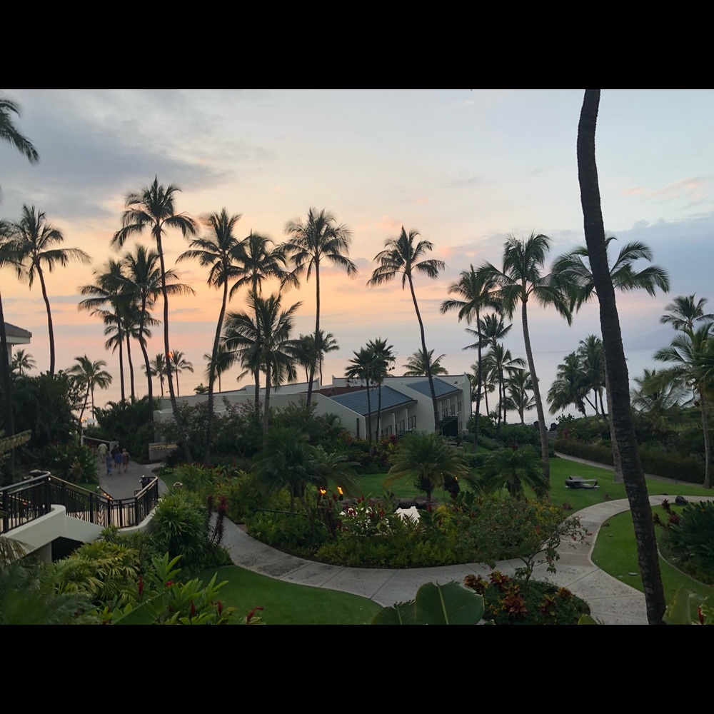 Meet your Posher, Myla